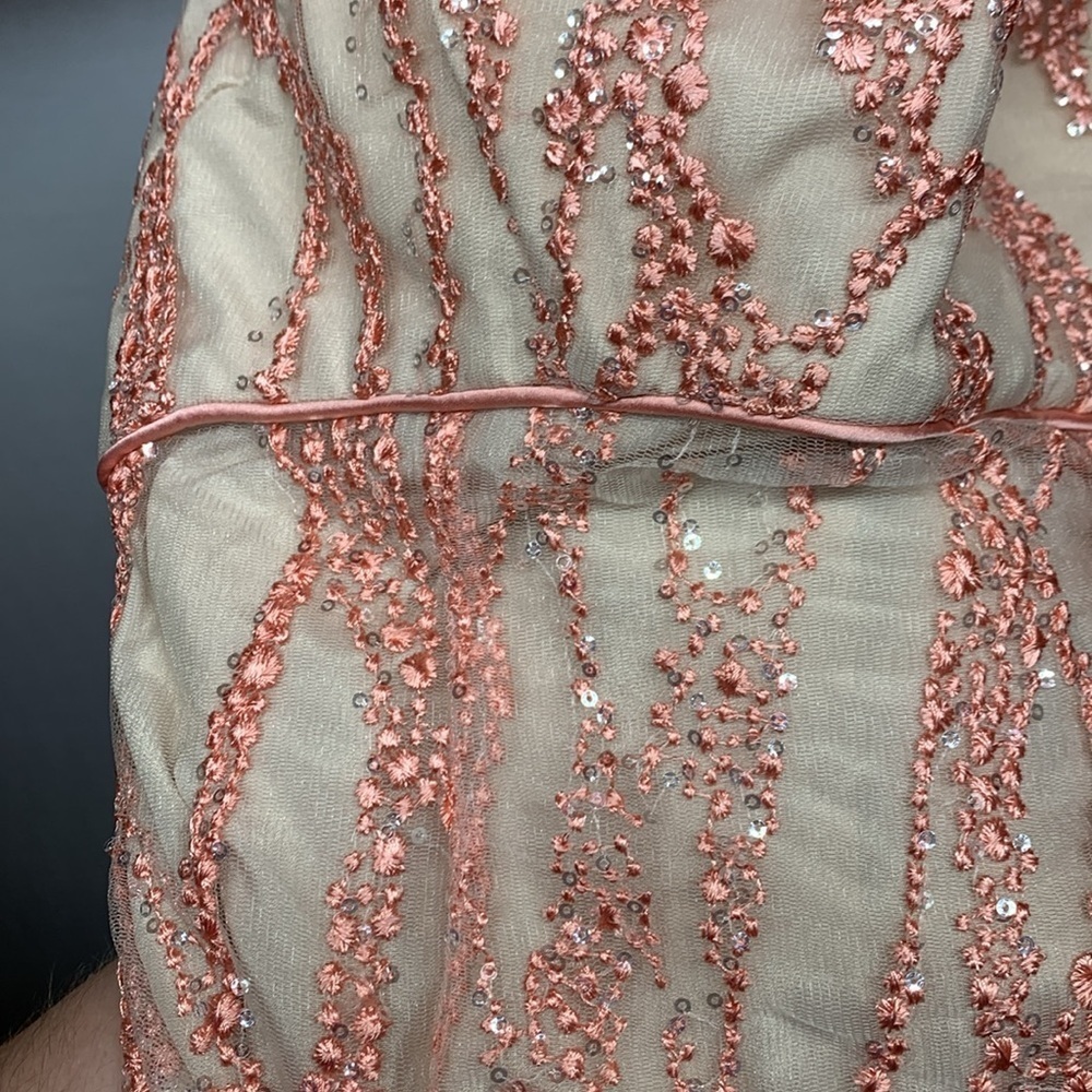 Minuet Pink Embroidered Silver Sequin Formal Dress - Picture 11 of 12